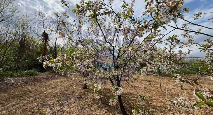 Poljoprivredno zemljište | 4zida