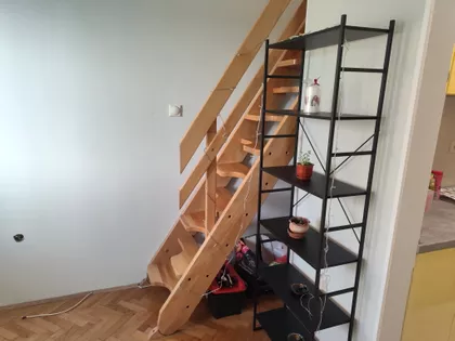 Dušana Vasiljeva | 4zida.rs