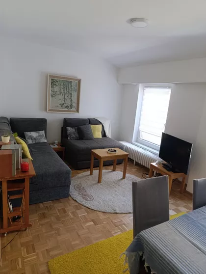 Dragoslava Srejovića | 4zida.rs