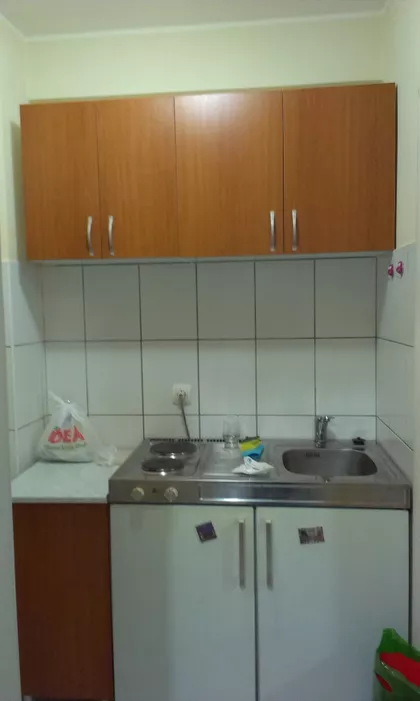 Miše Dimitrijevića | 4zida.rs