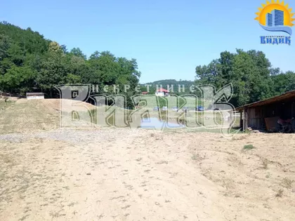 Dobrivoja Maksimovića | 4zida.rs