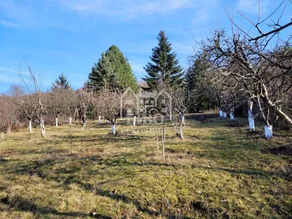 Gabrovac | 4zida.rs