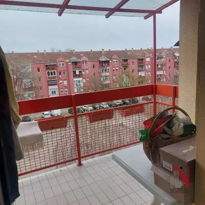 Novo Naselje | 4zida.rs