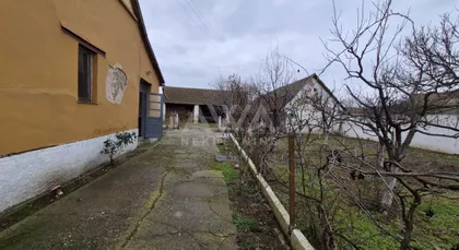 Bački Gračac | 4zida.rs