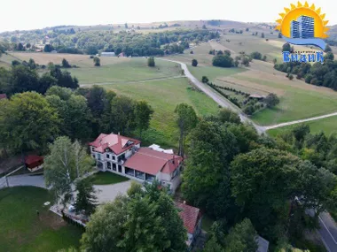 Česte bukve