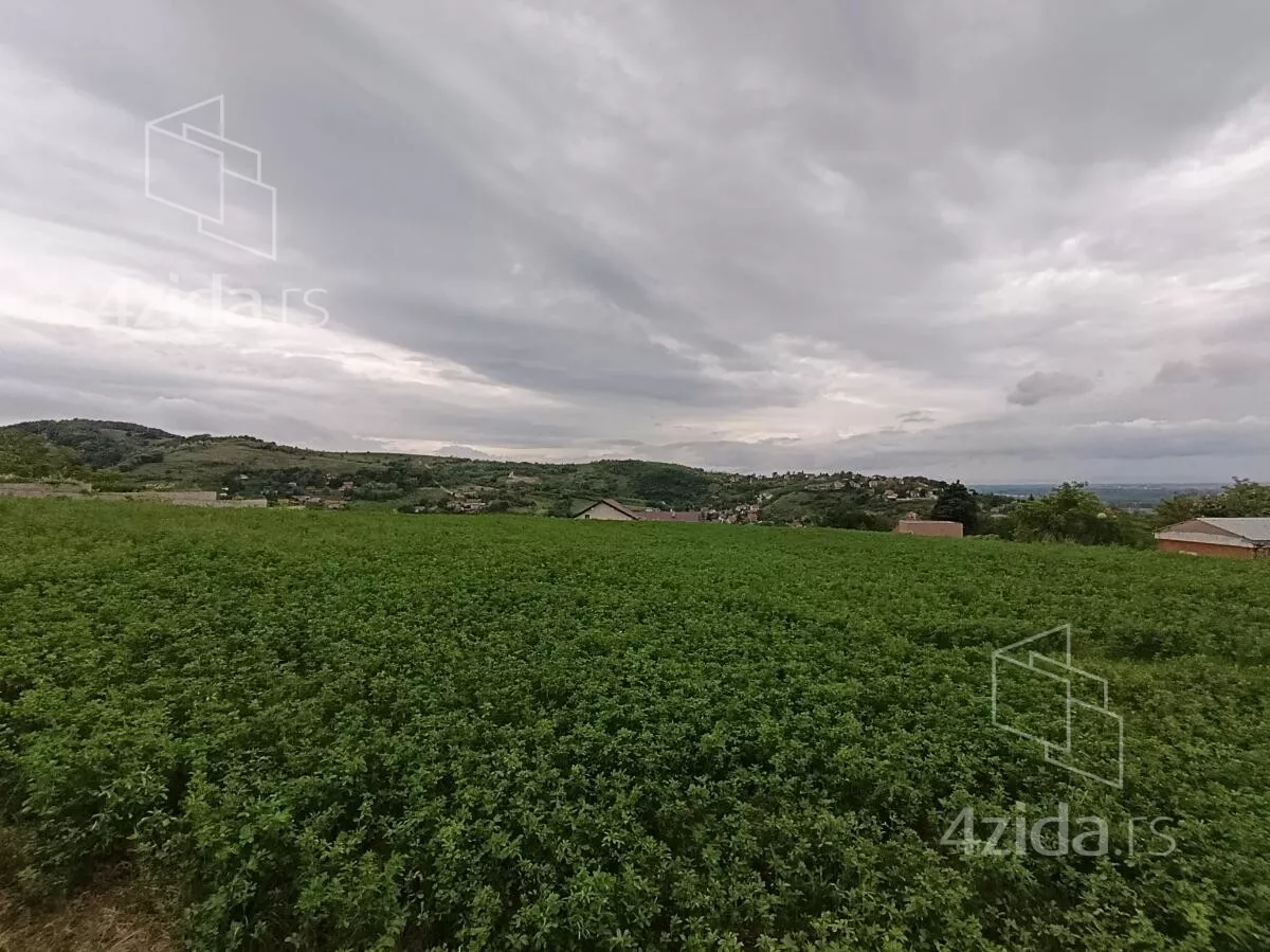 Plac | 4zida
