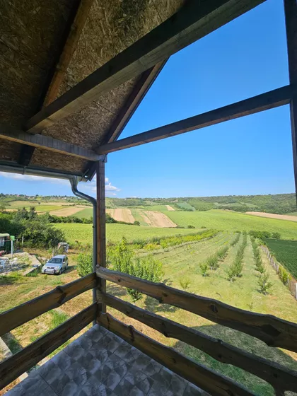 Kralja Petra I | 4zida.rs