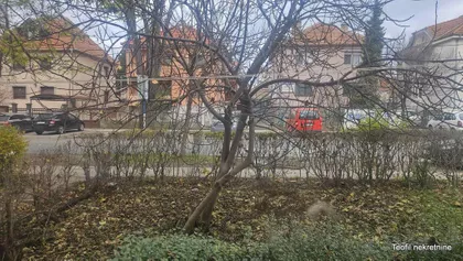 Makedonska | 4zida.rs