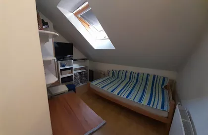 Cara Dušana | 4zida.rs