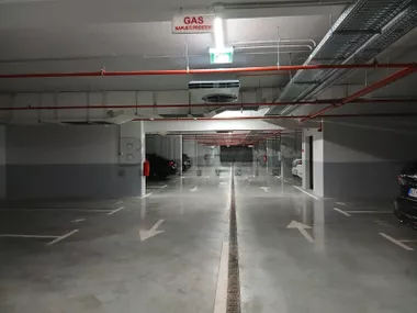 Blagoja Parovića