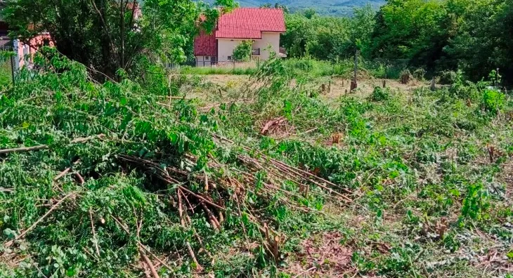 Plac | 4zida