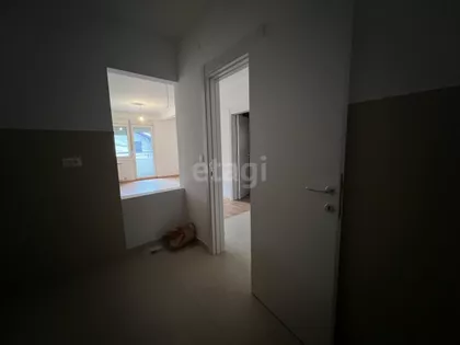 Vojvode Stepe | 4zida.rs