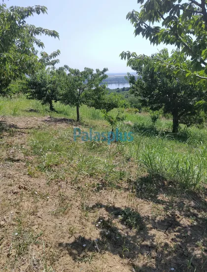 Ritopečka | 4zida.rs