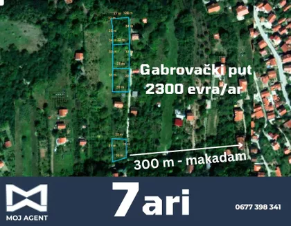 Ljubice Čakarević | 4zida.rs