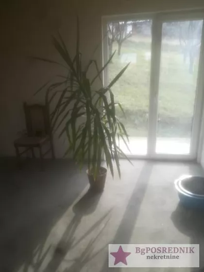 Vase Čarapića | 4zida.rs