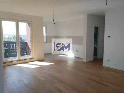 Petra Drapšina | 4zida.rs