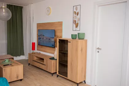 Lajoša Joa 48 | 4zida.rs