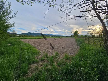 Ratina | 4zida.rs