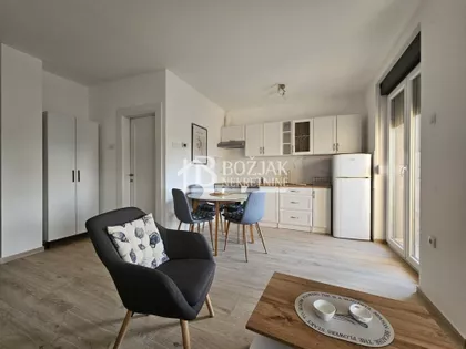 Žarka Zrenjanina | 4zida.rs