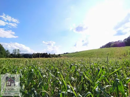 Kršna Glava | 4zida.rs