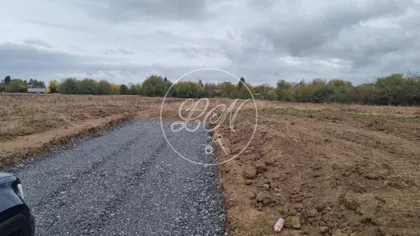 Carice Milice | 4zida.rs