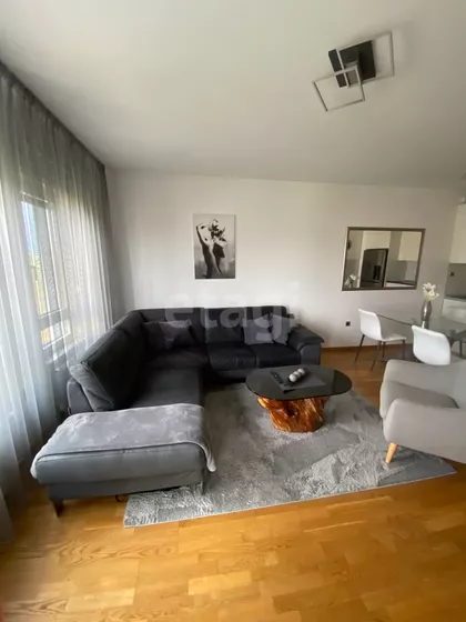 Arsenija Čarnojevića | 4zida.rs