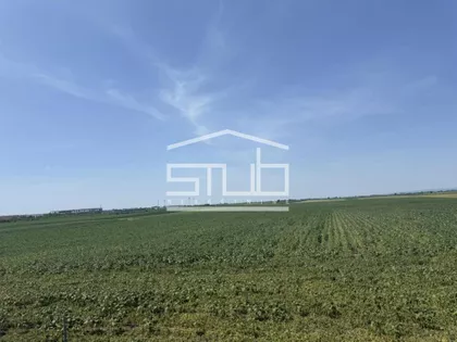 Autoput Beograd-Novi Sad | 4zida.rs