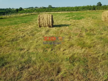 Kosmajska | 4zida.rs