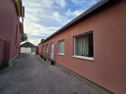 Bajmok | 4zida.rs