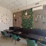 Lokal | 4zida