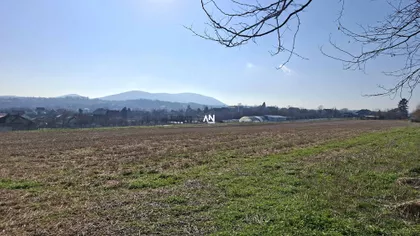 Jovana Cvijića | 4zida.rs