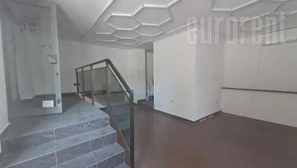 ZELENI VENAC | 4zida.rs