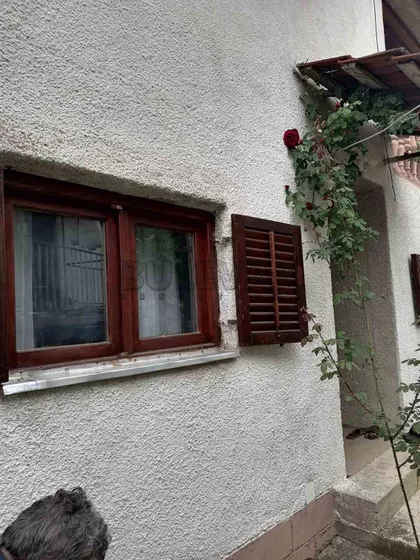 Goli Rid | 4zida.rs