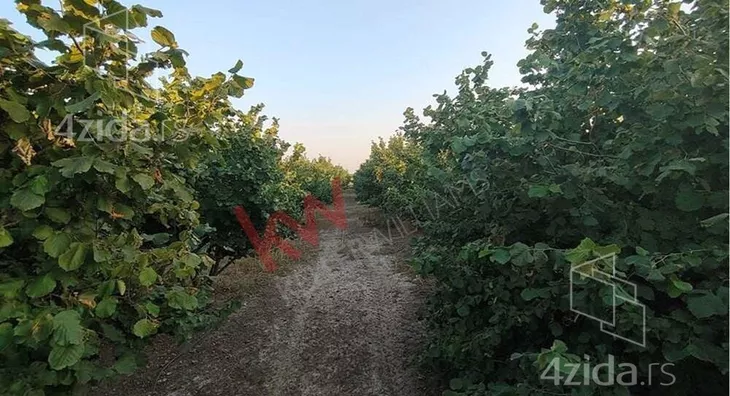 Poljoprivredno zemljište | 4zida