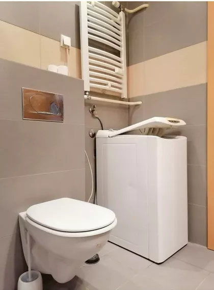 Mis Irbijeve 65 | 4zida.rs