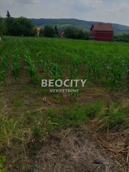 Zmaj Jovina | 4zida.rs