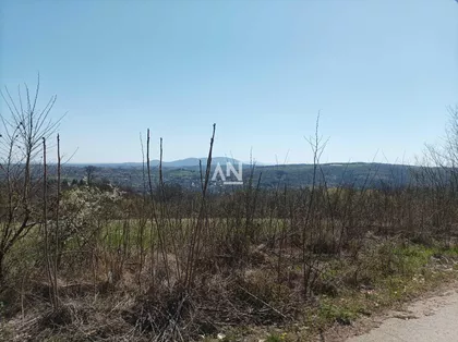 Trešnja | 4zida.rs
