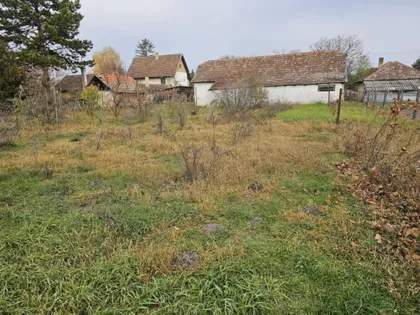 Palić | 4zida.rs