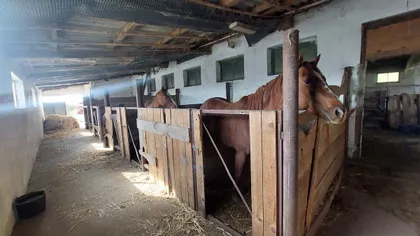 Lukino Selo | 4zida.rs