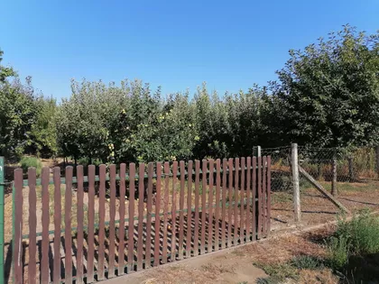 Put Za Plantu | 4zida.rs