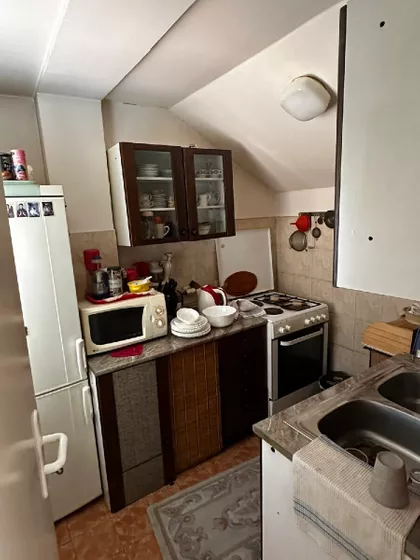 Spasenije Cane Babović 1 | 4zida.rs