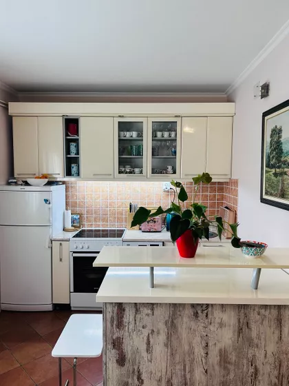 Tadeuša Košćuška bb | 4zida.rs