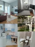 Bulevar Evrope, Gradske lokacije, Novi Sad | 4zida.rs | 4zida.rs