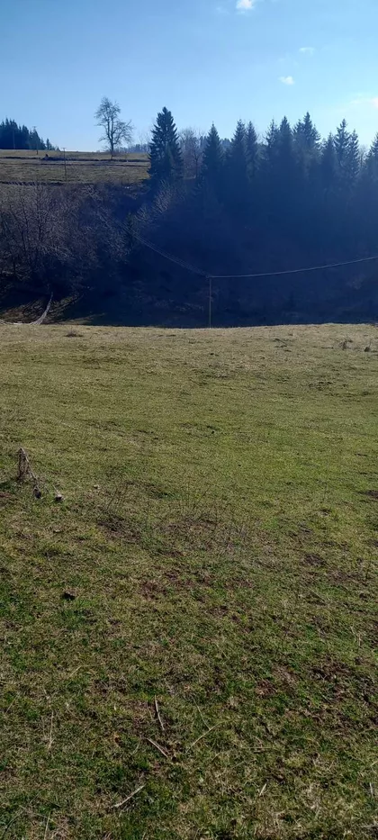 Zaovine | 4zida.rs
