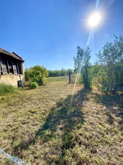 Samoš | 4zida.rs