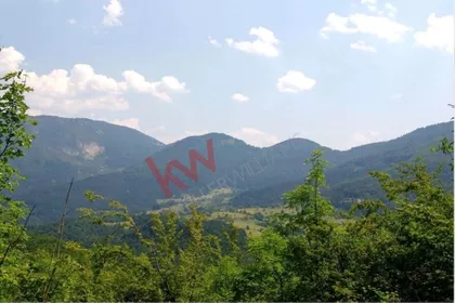 Planina Tara | 4zida.rs