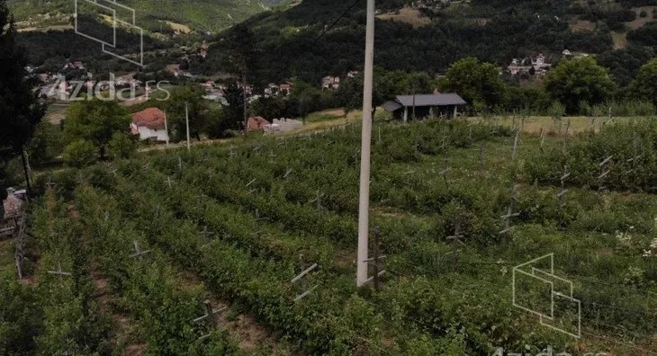 Plac | 4zida