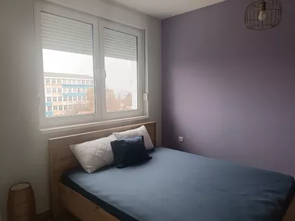 Bele Gabrića | 4zida.rs