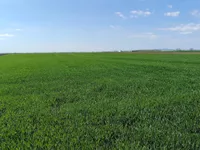 Stari Banovci, Okolne lokacije, Stara Pazova | 4zida.rs