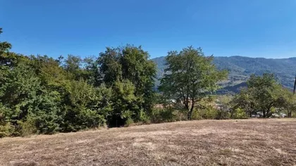 Mijoska | 4zida.rs
